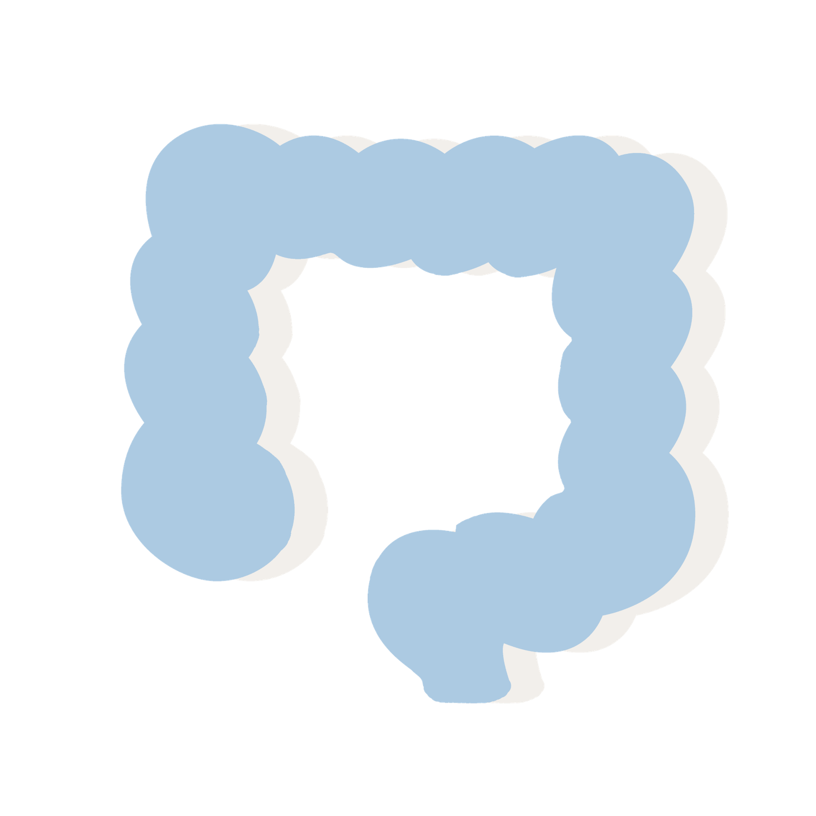Colonoscopy