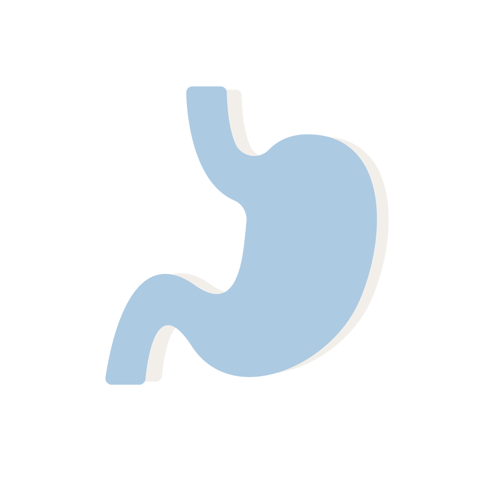 Gastroscopy